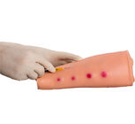 OEM PVC đào tạo cánh tay mô hình tiêm trong da