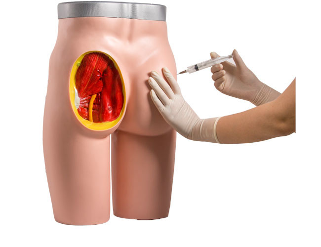 Đào tạo tiêm bắp Y tế cơ mông của con người