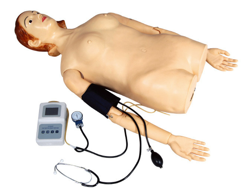 Nữ Kiểm tra Palpation nửa thân với Đo huyết áp cho Trường học, Bệnh viện