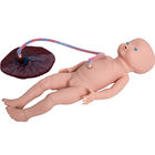 Colleges Two Fetus Childbirth Simulator Baby Delivery Simulator