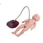 SGS PVC Đào tạo trẻ sơ sinh mô phỏng bằng dây rốn