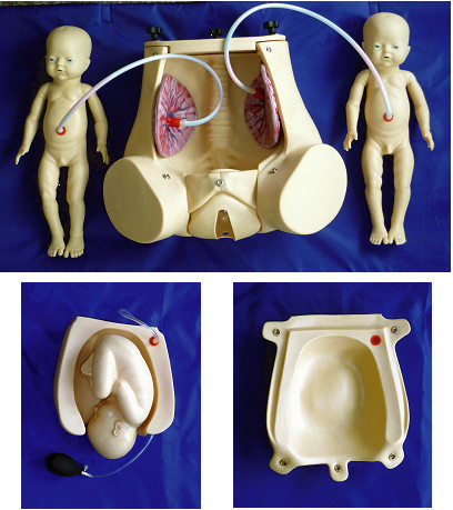 Mô phỏng sinh nở tự nhiên cùng thai nhi để trình diễn kỹ năng sản khoa