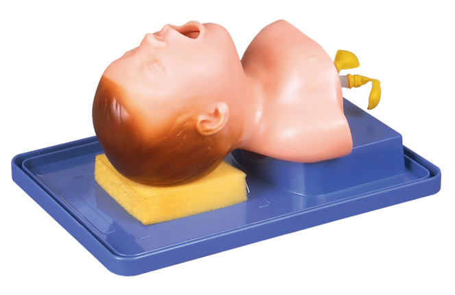 Realistic Neonate with Head Anatomy for Tracheal Intubation Training