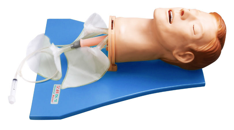 EMS Simulator / Manikin huấn luyện đường không để theo dõi đào tạo vận động hô hấp phổi