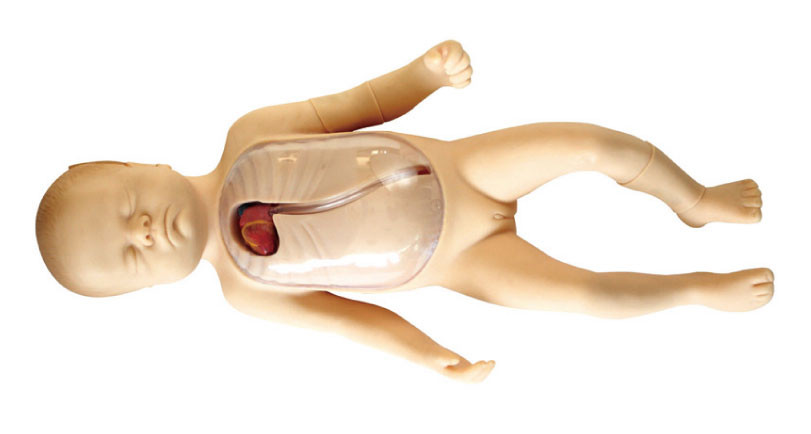 Neonate Manikin với mô phỏng trẻ em được chèn vào ngoại vi