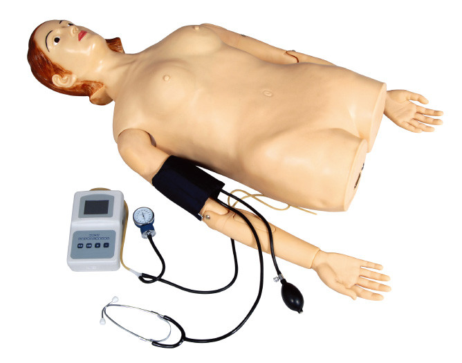 Nữ Kiểm tra Palpation nửa thân với Đo huyết áp cho Trường học, Bệnh viện