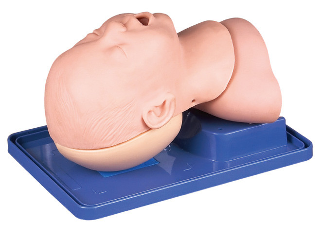 Infant Airway Management with Head for Infant Tracheal Intubation Training