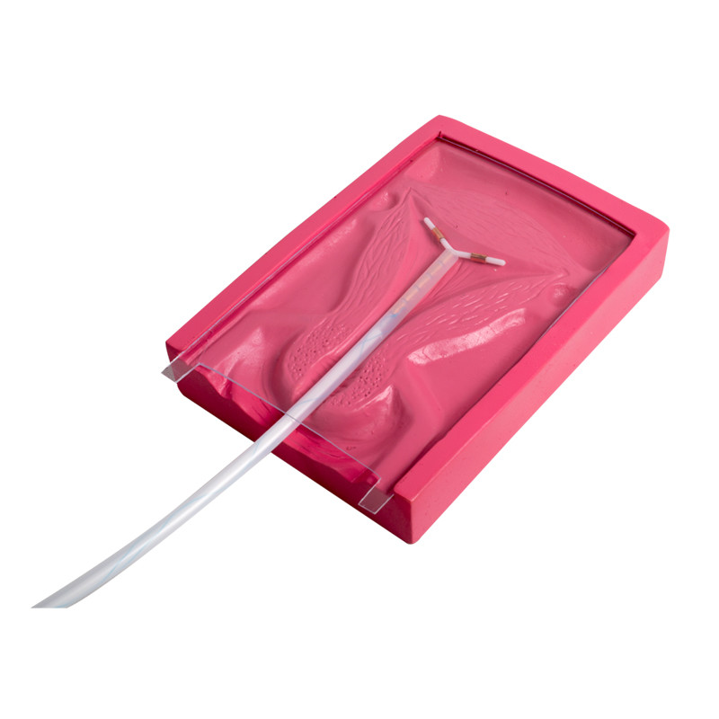 Y tế PVC IUD Insertion Bộ mô phỏng phụ khoa cho tử cung