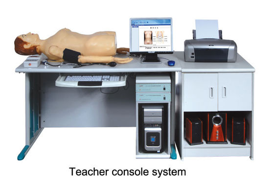 Mạng kỹ thuật số cao thông minh với dịch vụ nghe lén ở bụng Manikin Female